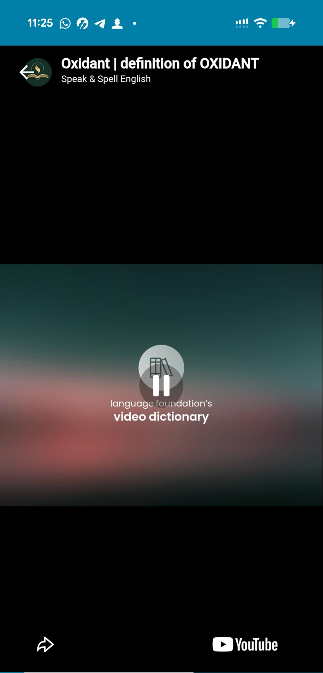 Expert Slide 4